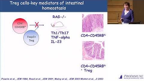 Fiona Powrie: Host microbe interactions in the intestine: new strategies for the treatment of IBD