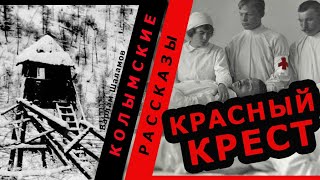 Варлам Шаламов. Колымские рассказы. \