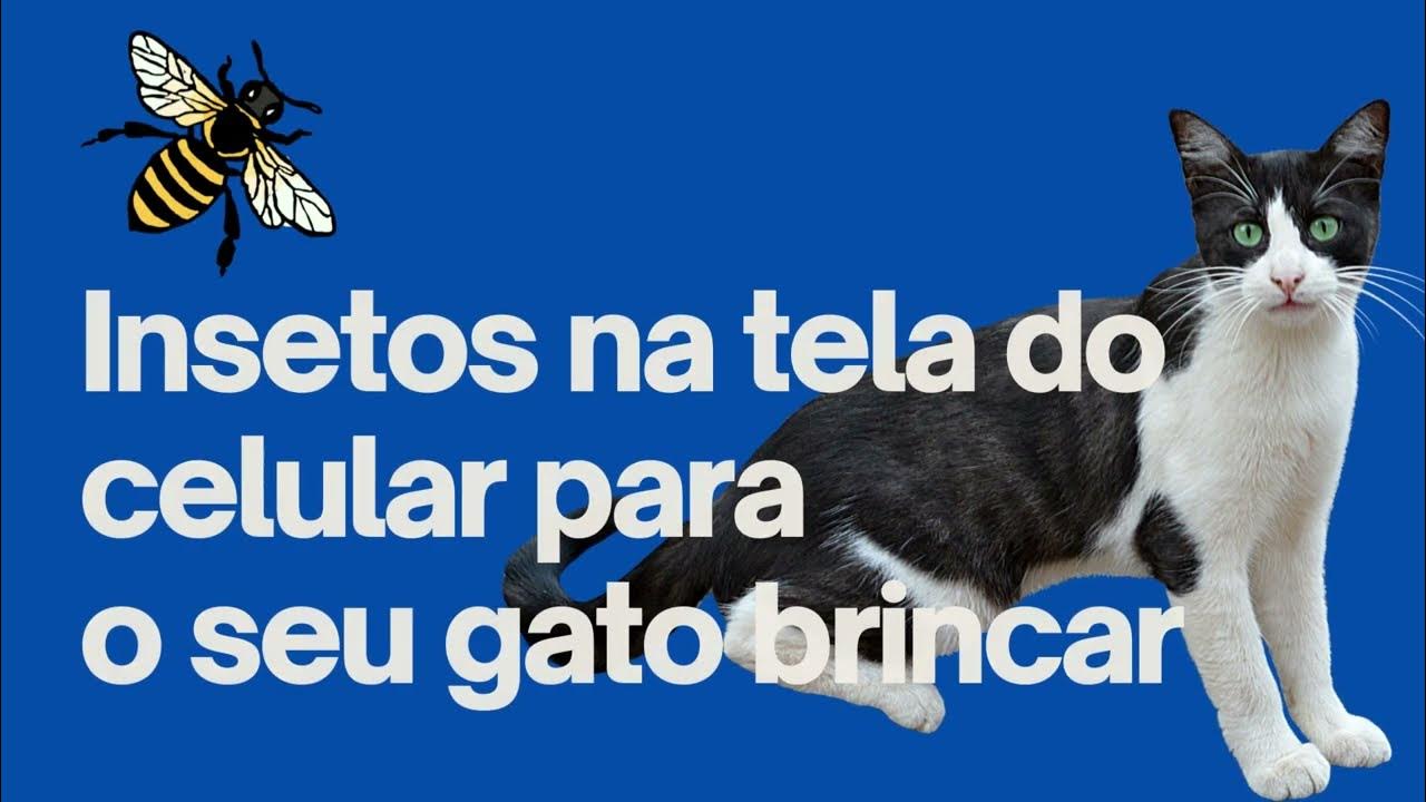 Patas De Gatos Na Tela Cromática De Um Telefone Celular