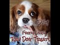 DIY ~ Freeze Dried Raw Dog Treats