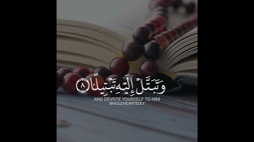 وَاذْكُرِ اسْمَ رَبِّكَ وَتَبَتَّلْ إِلَيْهِ تَبْتِيلًا | سورة المزمل | القارئ عبدالرحمن مسعد