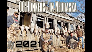 &quot;OG Honkers&quot; in Nebraska