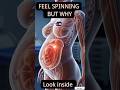 “Why Everything Feels Like It’s Tilting” only educational