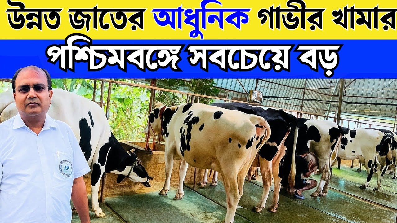 পশ্চিমবঙ্গের সবচেয়ে সেরা একটি Dairy Farm | Best Dairy Farm In Westbengal
