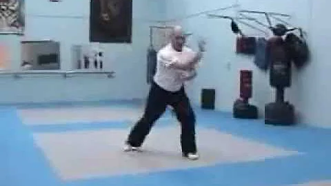 Bruce Currie's Fighting System The Tiger and the C...