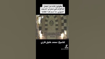تلاوة مؤثرة في محراب المسجد النبوي للشيخ مجمد خليل قاري #المسجد_النبوي