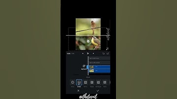 3 Layer Masking in VN Video Editor - Tutorial #shorts