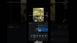 3 Layer Masking in VN Video Editor - Tutorial #shorts