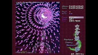 [Full stream] - Touhou Youyoumu: Perfect Cherry Blossom