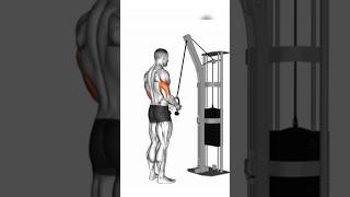 TRICEPS ON FIRE 🔥 Get READY for ARM GAINS! #shorts #triceps