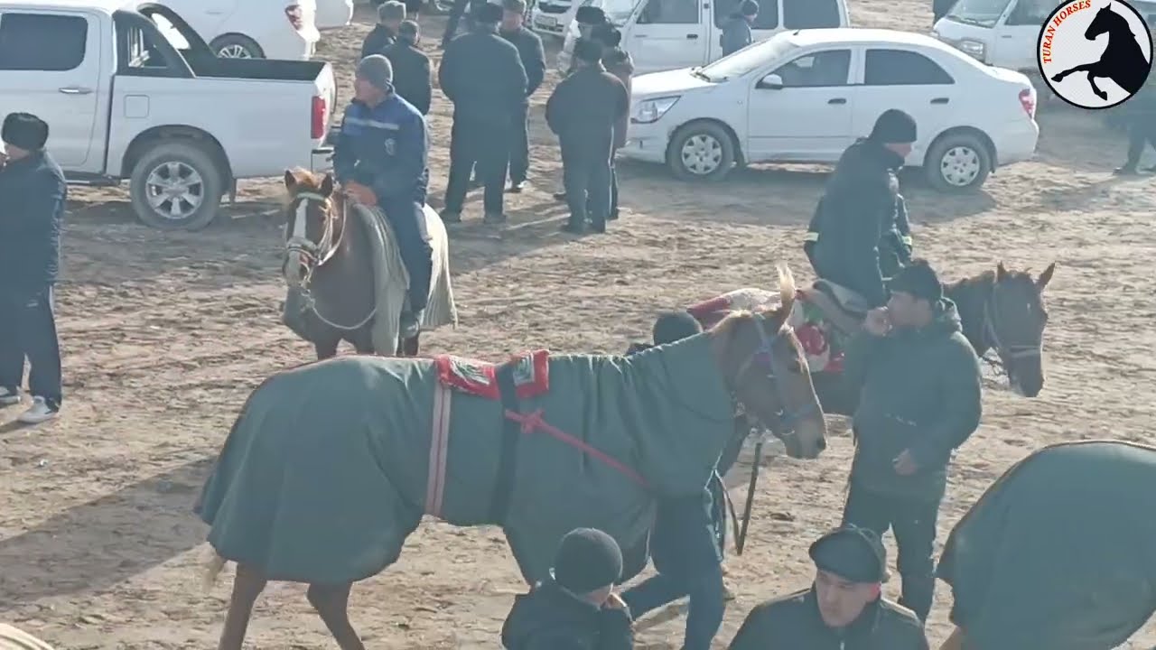 26 январ 2025 ж Қоңырат Районы Ерлан фермердің сүндет тойы бәйге