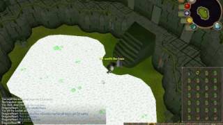 FAST ECTOFUNTUS RUNS !
