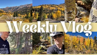 Million Dollar Highway -Fall Aspen