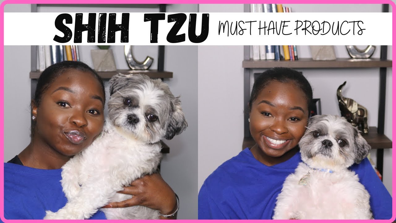SHIH TZU - EVERYTHING YOU NEED FOR YOUR SHIH TZU PUPPY!