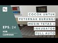 Mesin Tetas + Inkubator Moderen Full Otomatis Cocok Buat Pemula dan Profesional Perternak Burung