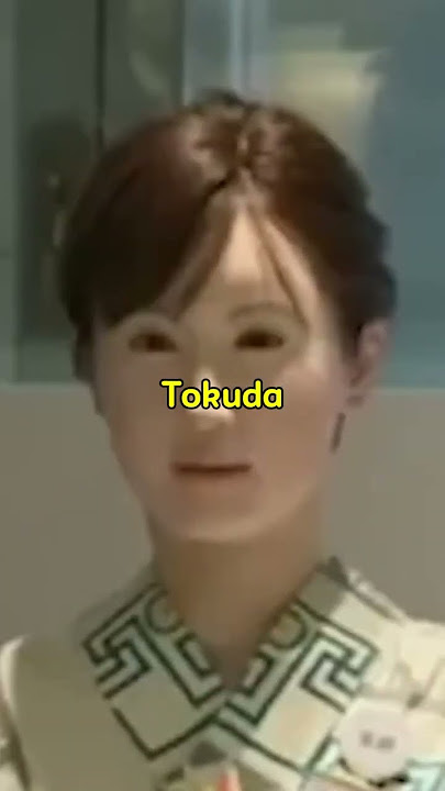 Aiko Chihira  The Human Like Robot from Japan