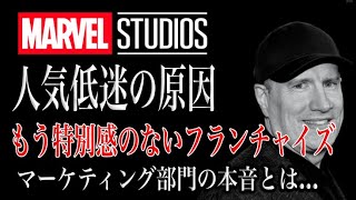 MCUがいまだに人気低迷…”正直作りすぎた”マーケティングがぶっちゃける。