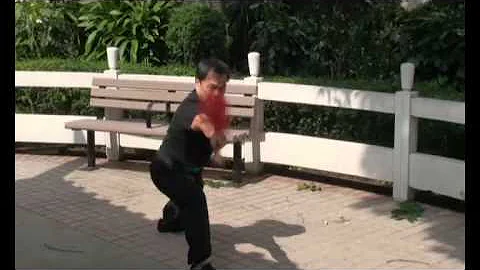 Hung Sing Choy Lei Fat -Pak Kwa Spear