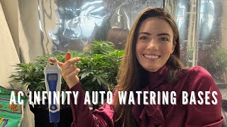 AC Infinity Self-Watering Buckets: pH Drift, Soil vs Hydro, and What I’m Doing Differently