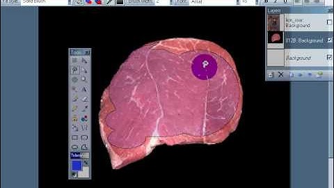 Paint .NET Layers Lassos And Adding Images