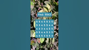 Observation Visual Test: 5 Seconds For You To Spot 5543. Try Your Skills!  #search #puzzle #shorts