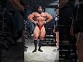 Mike Sommerfeld 8.5 Weeks Out In 2025 Mr Olympia Competition #rmdesifitness #mrolympia #ytshorts