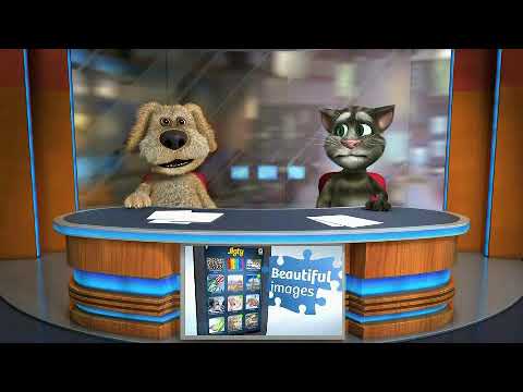 კატა და ძაღლი ჩხუბობენ