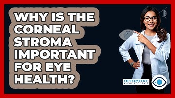 Why Is The Corneal Stroma Important For Eye Health? - Optometry Knowledge Base