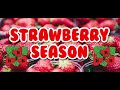 Triple B Strawberry Season is HERE! Hurry before they&#39;re gone!