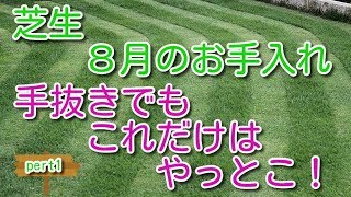芝生 8月のお手入れ 手抜きでもこれだけはやっとこ Youtube 芝生 8月のお手入れ 手抜きでもこれだけはやっとこ Youtube