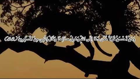سورة فصلت آيه ٣٣ وَمَنْ أَحْسَنُ قَوْلًا مِّمَّن دَعَا إِلَى اللَّهِ وَعَمِلَ صَالِحًا اسلام صبحي