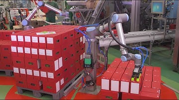 Digital Twin Simulations Of Cobot Palletizing Solutions By Rocketfarm