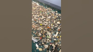 The Eddy Current Separator Tests the Aluminum Scrap Sorting #eddycurrentseparator