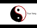 What is Energy. Yin and Yang. Difference and Purpose