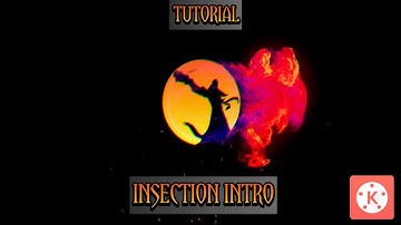 Insection Intro Tutorial in Kinemaster