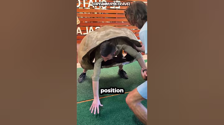 Here's Why Turtles Are So Slow 😮🐢