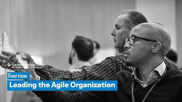 Leading the Agile Organization: Overview