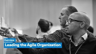 Leading the Agile Organization: Overview