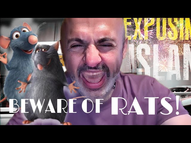 Beware of the circumcised Rats!😂 Sam Shamoun: Islamic Narration class=