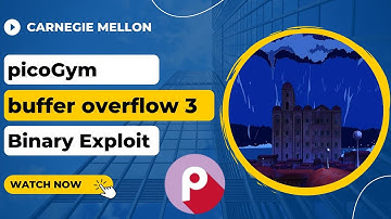 picoGym (picoCTF) Exercise: buffer overflow 3