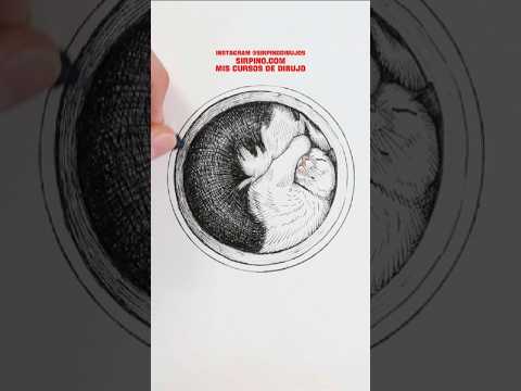Gatito durmiendo con MICROFIBRAS - Aprende a dibujarlo