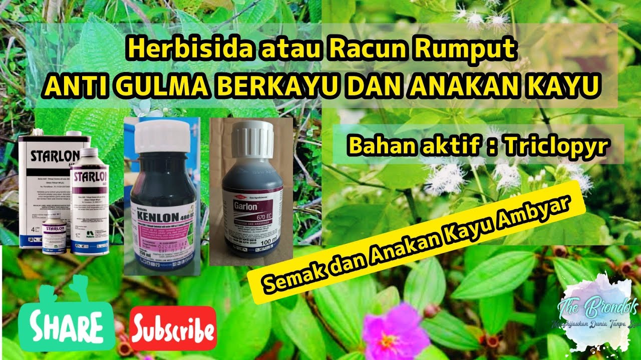 Herbicide Racer Arahan Penggunaan Mekanisme Tindakan Dan Kadar Penggunaan Juga 2021