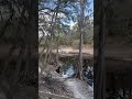 From the #snow to the #Suwannee on the #FloridaTrail 🙂💕