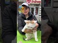 Хвостаті Друзі 🐾