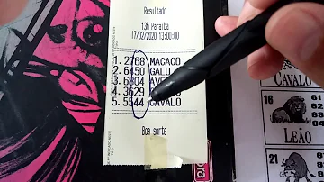 Como funciona o terno no jogo do bicho?