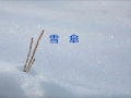 雪傘 2016 11 26