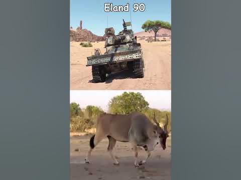 Armored Vehicles Named After Animals. Part 3 #warthunder #animals #