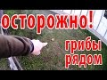 про село - осторожно грибы рядом // Жизнь в деревне // весело в деревне // хочу в деревне