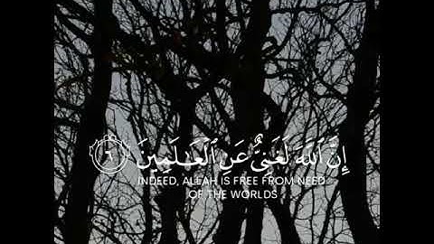 أرح سمعك تلاوه هاديه تريح القلب والعقل بصوت عبدالرحمن مسعد