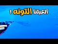 البحث عن التونه بالكويت ! 🐟 💔 Spearfishing